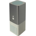 RGF REME-ION Desktop Air Purifier