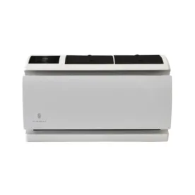 Friedrich WCT08A10A 8,000 Btu Thru-The-Wall Air Conditioner