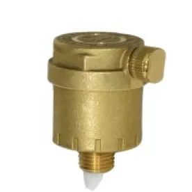 Legend 110-332 Air Vent, Automatic Hot Water, 0.25 in, MNPT, Brass